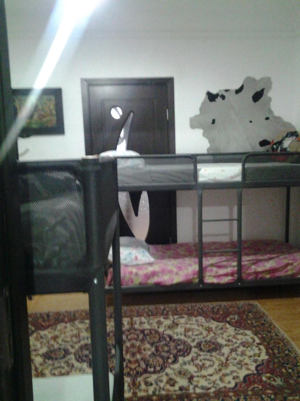 Leyla Hostel Brasov Luaran gambar